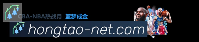 数据分析功能